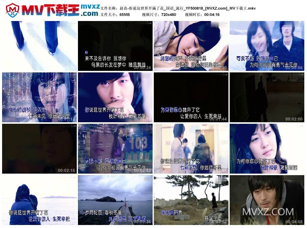 赵真-你说这世界开满了花_国语_流行_YF500818